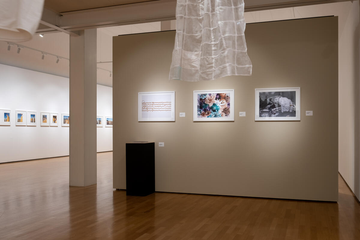 Bild vergrößern: Ausstellungsraum mit gerahmten, digital animierten Fotografien an der Wand.