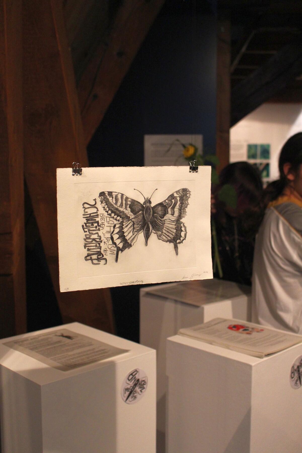 Bild vergrößern: Ausstellungsraum mit Schülerzeichnung eines Schmetterlings.