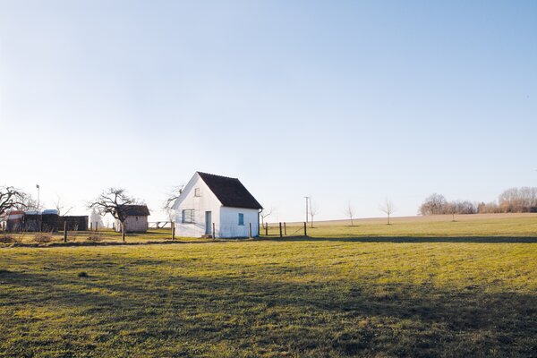 Bild vergr&ouml;&szlig;ern: Albrecht Sch&auml;fer. In the Open Field